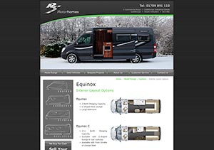 Website